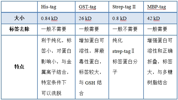 标签蛋白特点.png